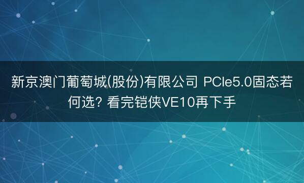 新京澳门葡萄城(股份)有限公司 PCIe5.0固态若何选? 看完铠侠VE10再下手