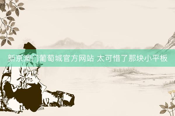 新京澳门葡萄城官方网站 太可惜了那块小平板
