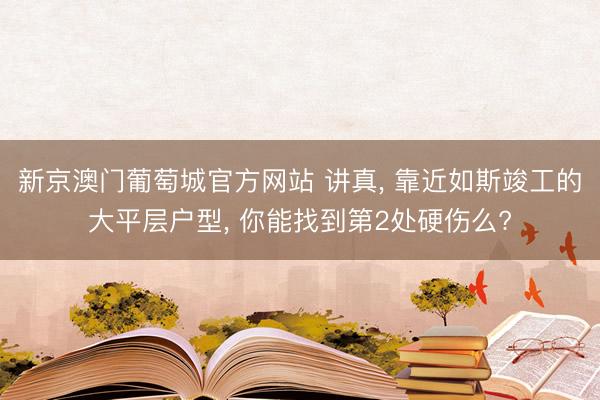 新京澳门葡萄城官方网站 讲真， 靠近如斯竣工的大平层户型， 你能找到第2处硬伤么?