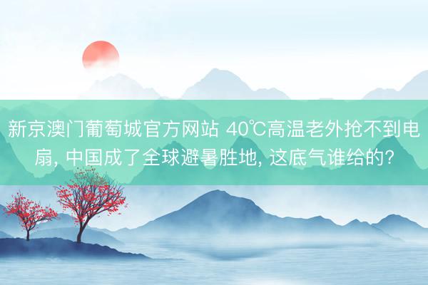 新京澳门葡萄城官方网站 40℃高温老外抢不到电扇, 中国成了全球避暑胜地, 这底气谁给的?