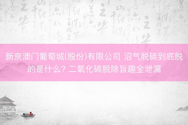新京澳门葡萄城(股份)有限公司 沼气脱碳到底脱的是什么? 二氧化碳脱除旨趣全泄漏