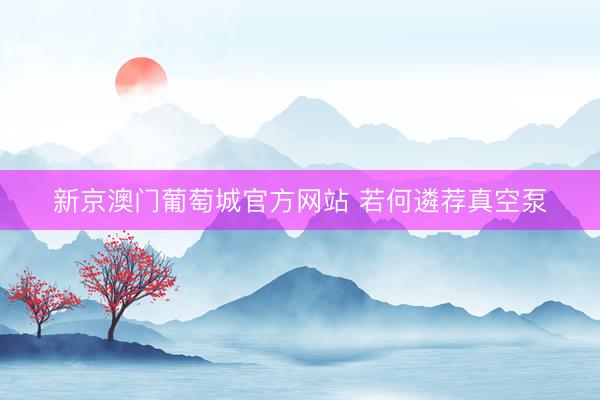 新京澳门葡萄城官方网站 若何遴荐真空泵