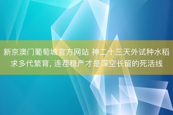 新京澳门葡萄城官方网站 神二十三天外试种水稻求多代繁育， 连茬稳产才是深空长留的死活线