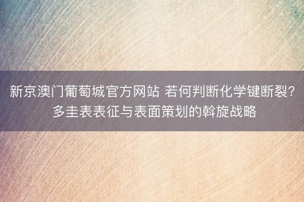 新京澳门葡萄城官方网站 若何判断化学键断裂? 多圭表表征与表面策划的斡旋战略