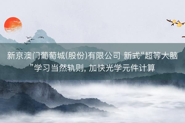 新京澳门葡萄城(股份)有限公司 新式“超等大脑”学习当然轨则， 加快光学元件计算