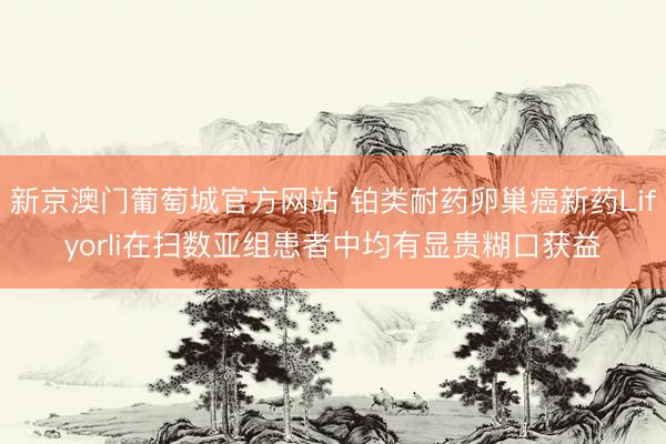 新京澳门葡萄城官方网站 铂类耐药卵巢癌新药Lifyorli在扫数亚组患者中均有显贵糊口获益