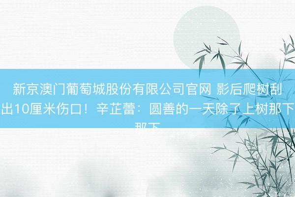 新京澳门葡萄城股份有限公司官网 影后爬树刮出10厘米伤口！辛芷蕾：圆善的一天除了上树那下