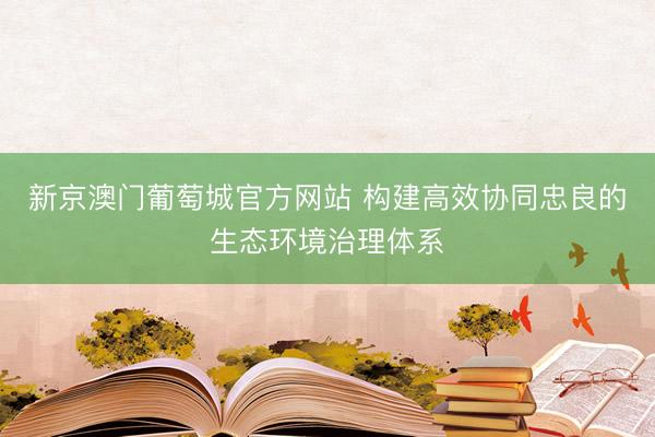 新京澳门葡萄城官方网站 构建高效协同忠良的生态环境治理体系