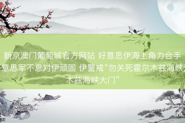 新京澳门葡萄城官方网站 好意思伊海上角力合手续 好意思军不息对伊顽固 伊警戒“勿关死霍尔木兹海峡大门”