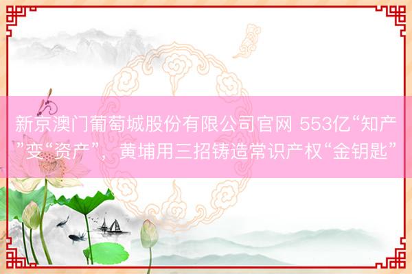 新京澳门葡萄城股份有限公司官网 553亿“知产”变“资产”，黄埔用三招铸造常识产权“金钥匙”
